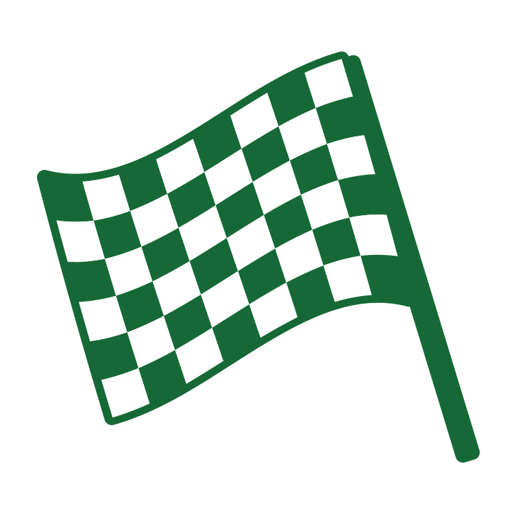racing flag icon