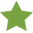 green star legend icon